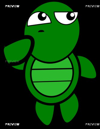 turtle-152082
