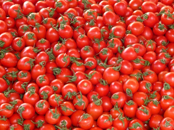 tomatoes-73913