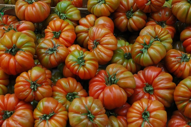 tomatoes-744019