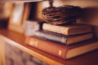 book-shelf-349934
