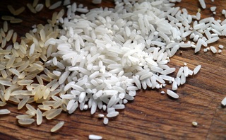 rice-498688