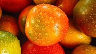 fruit-192753