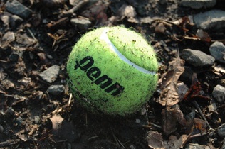 tennis-ball-678735